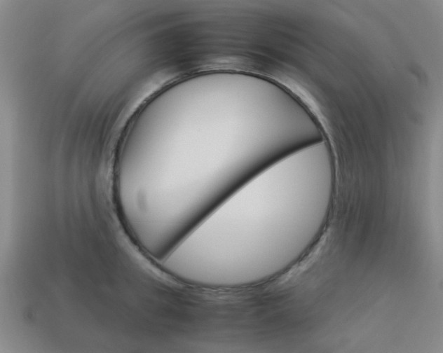 X0000114090949200910051207