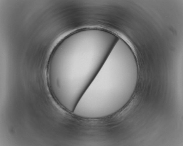 X0000114090951200910051207