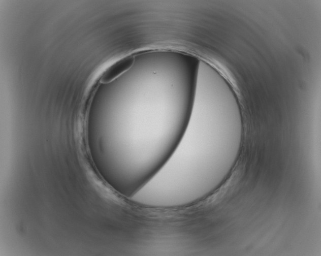 X0000114090952200910051207