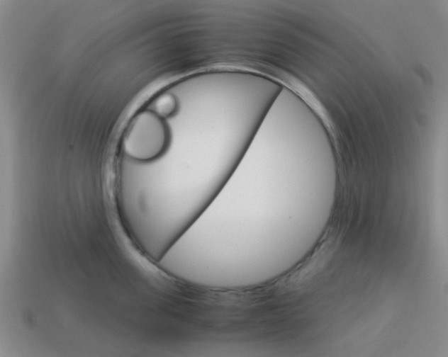 X0000114090955200910051207