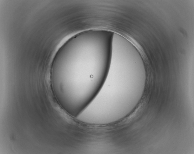 X0000114090956200910051207