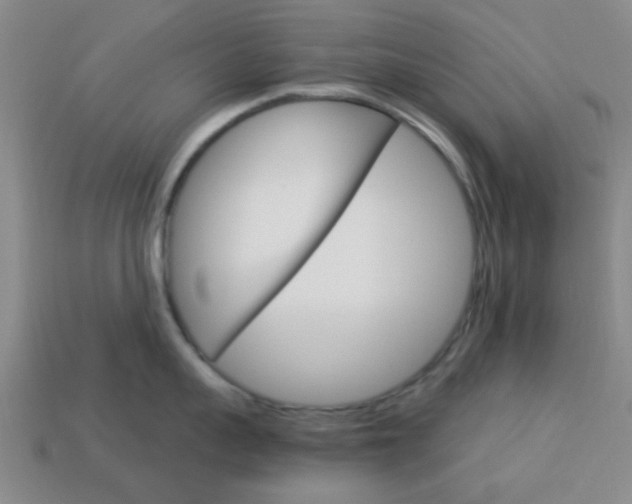 X0000114090959200910051207