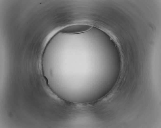 X0000114090960200910051207