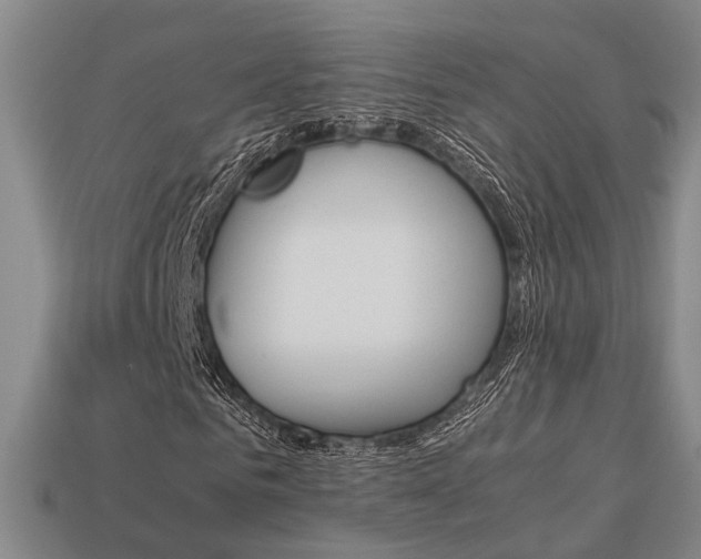 X0000114090961200910051207