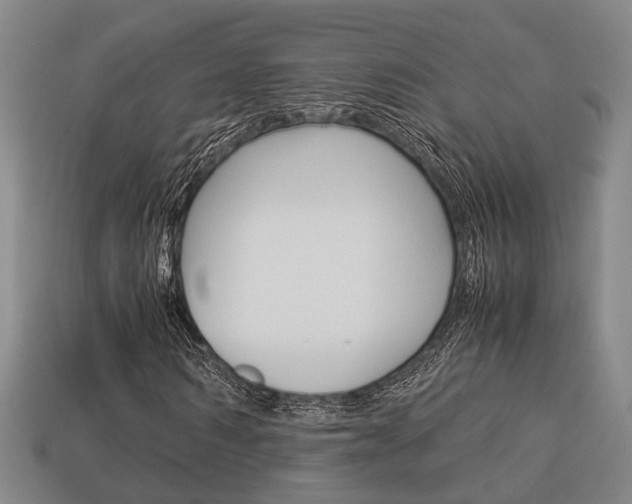 X0000114090962200910051207