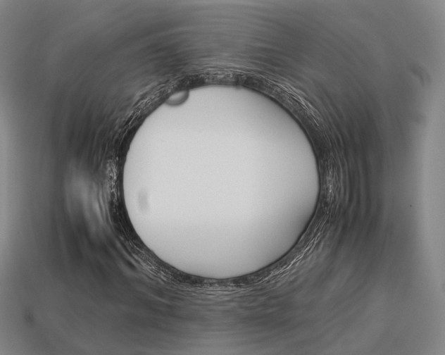 X0000114090964200910051207