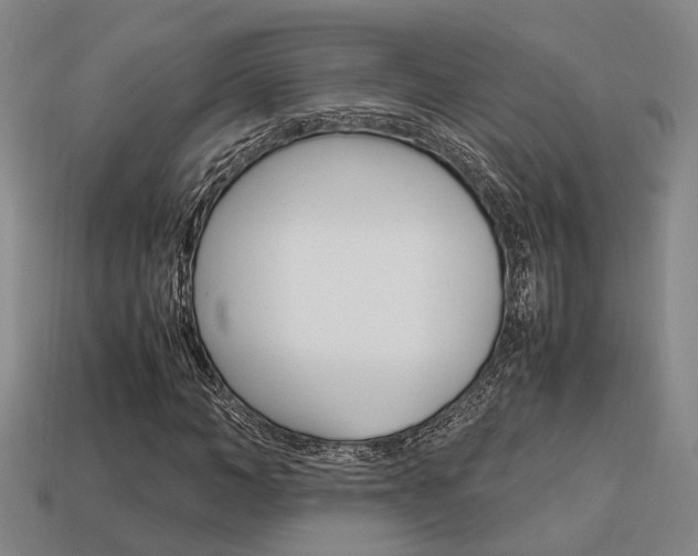 X0000114090966200910051207