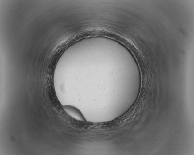 X0000114090967200910051207