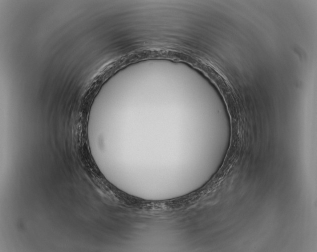 X0000114090968200910051206