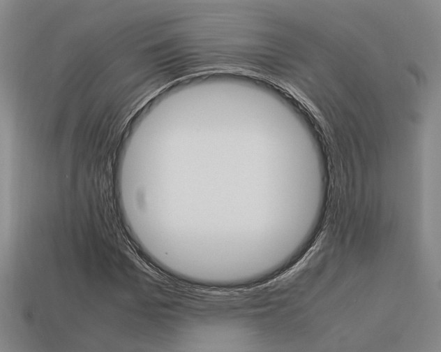 X0000114090969200910051206