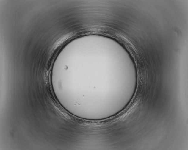 X0000114090970200910051206