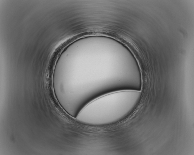 X0000114090971200910051206