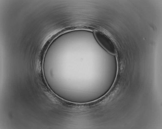 X0000114090973200910051206