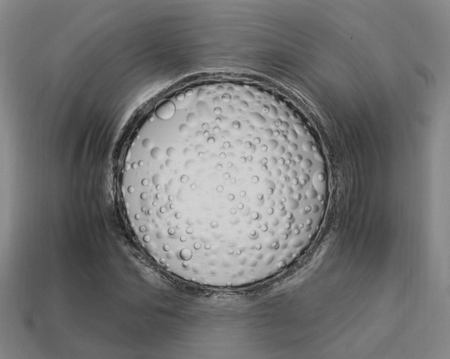 X0000114090974200910051206