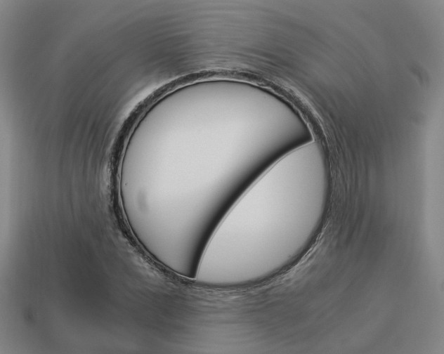 X0000114090975200910051206