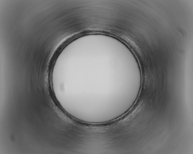X0000114090976200910051206