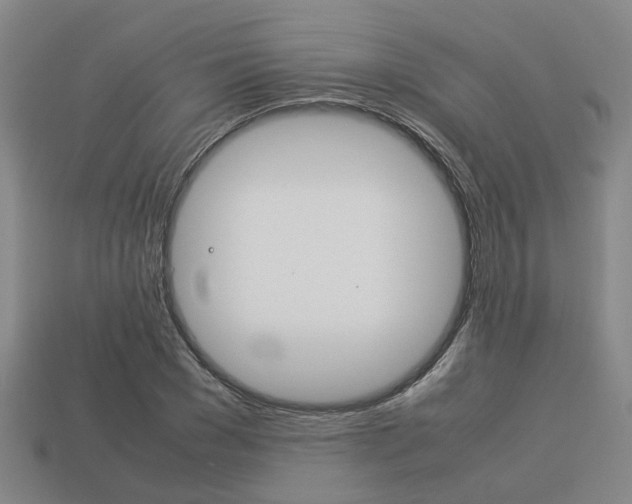 X0000114090977200910051206