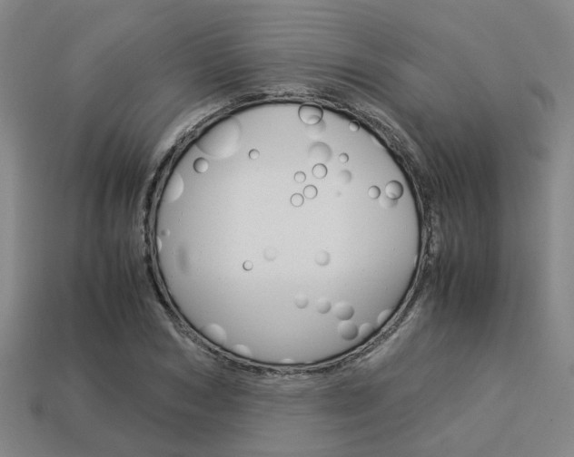 X0000114090978200910051206