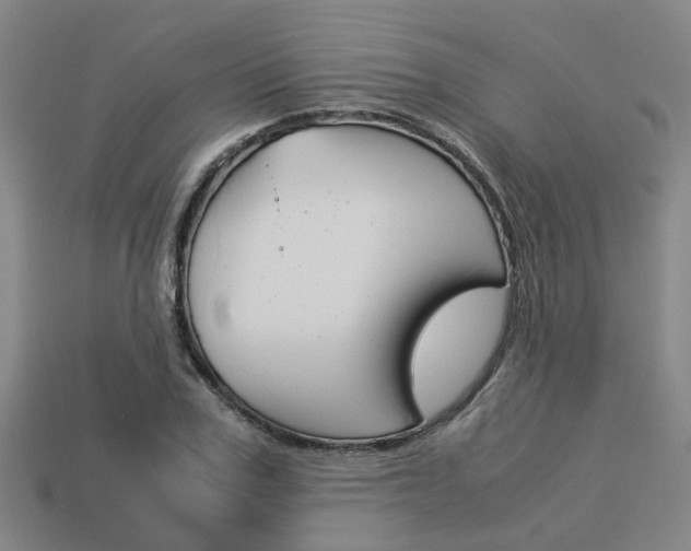 X0000114090979200910051206