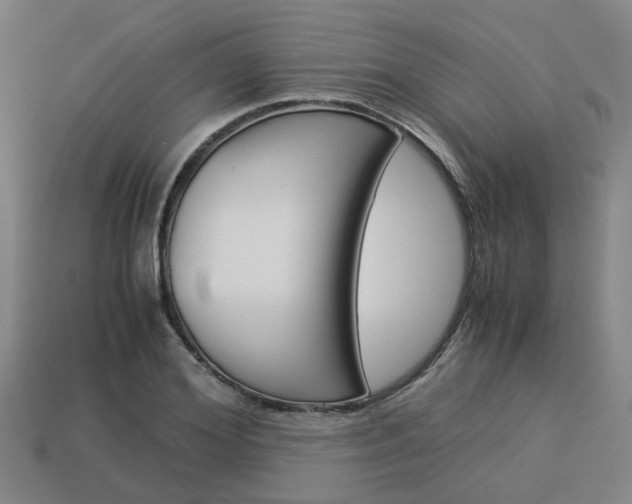 X0000114090980200910051206