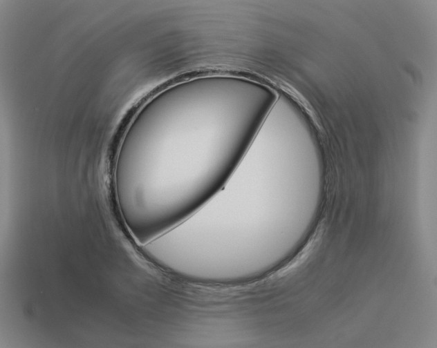 X0000114090981200910051206