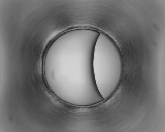 X0000114090982200910051206