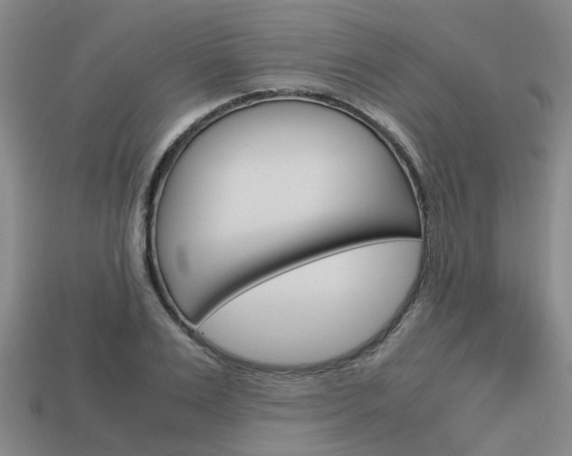X0000114090983200910051206