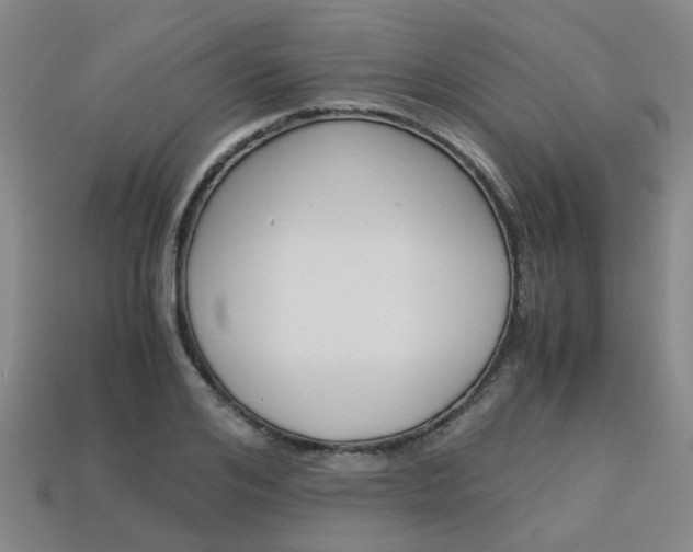 X0000114090984200910051206