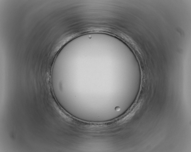 X0000114090985200910051206