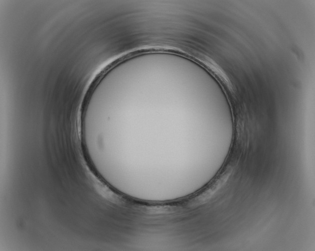 X0000114090988200910051206