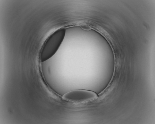 X0000114090989200910051206