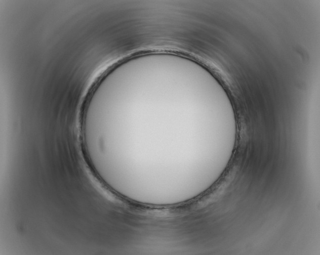 X0000114090990200910051206