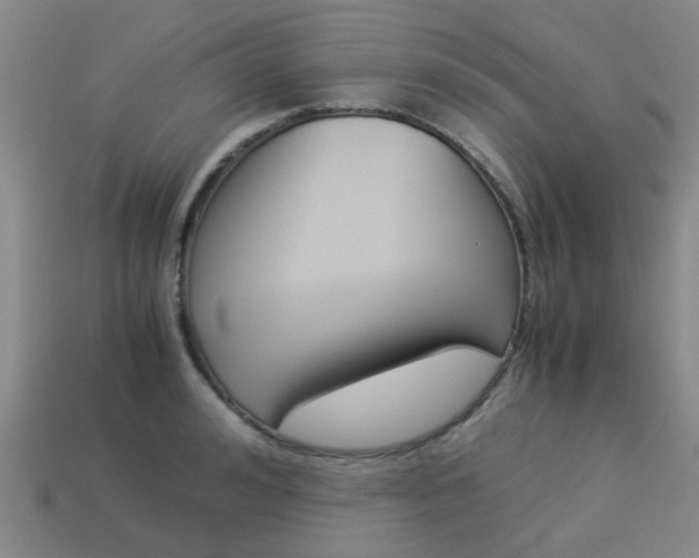 X0000114090992200910051206
