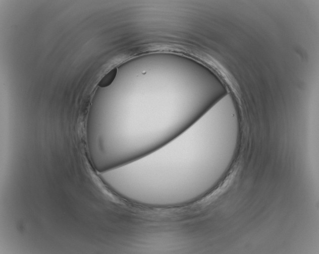 X0000114090993200910051206