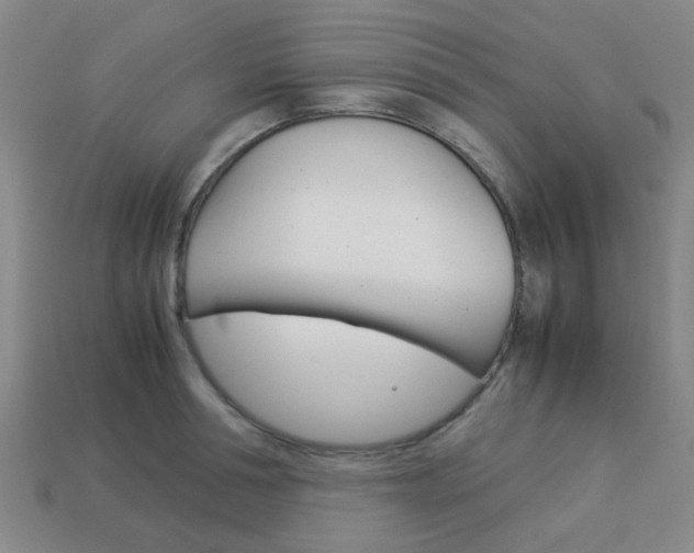 X0000114090994200910051206