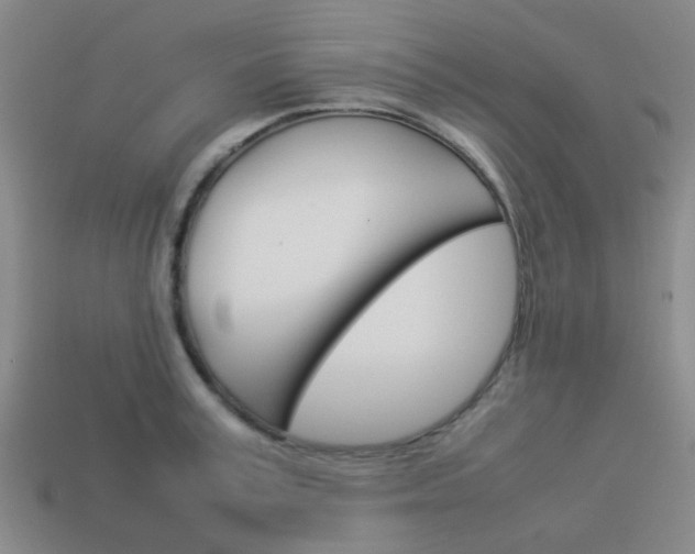 X0000114090995200910051206