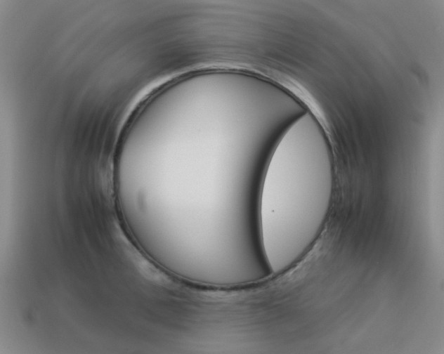 X0000114090996200910051206