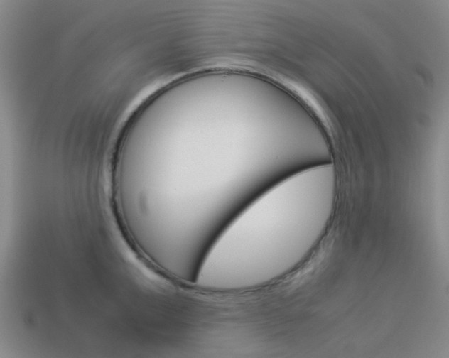 X0000114090999200910051206