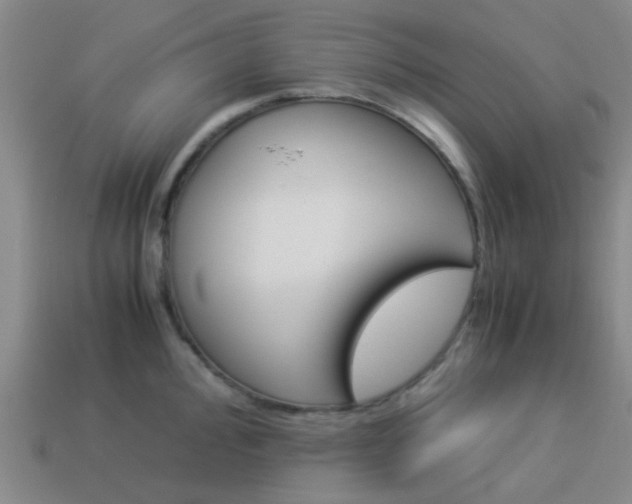 X0000114091000200910051206
