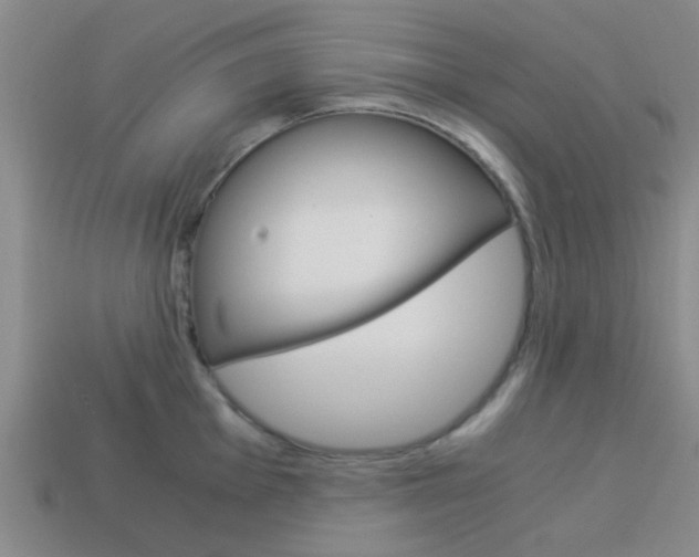 X0000114091001200910051206