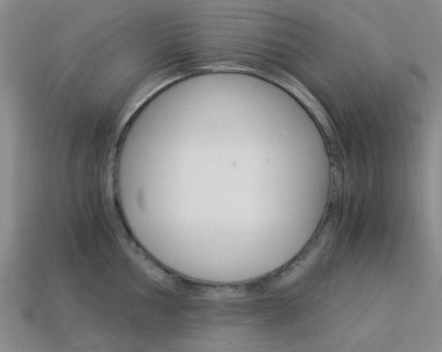 X0000114091002200910051206