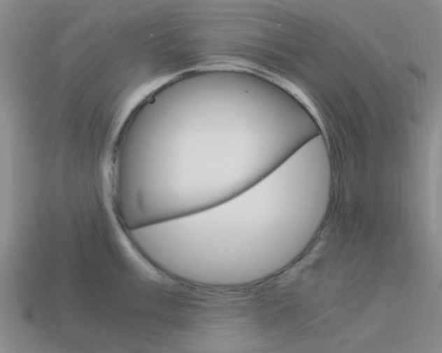 X0000114091003200910051206