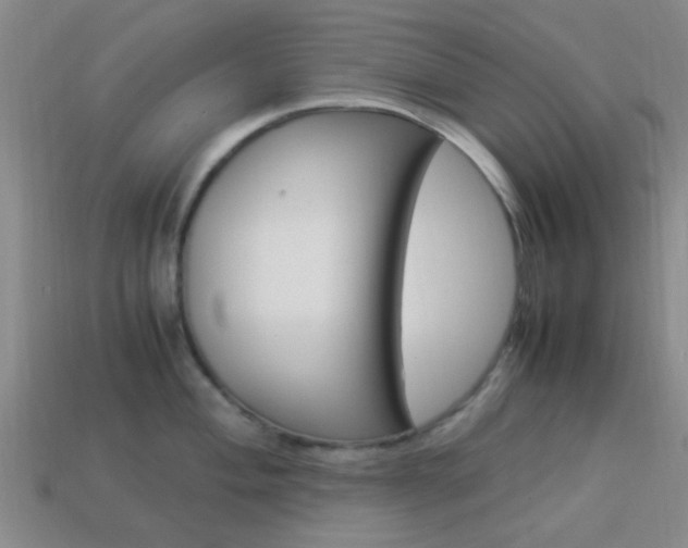 X0000114091004200910051206