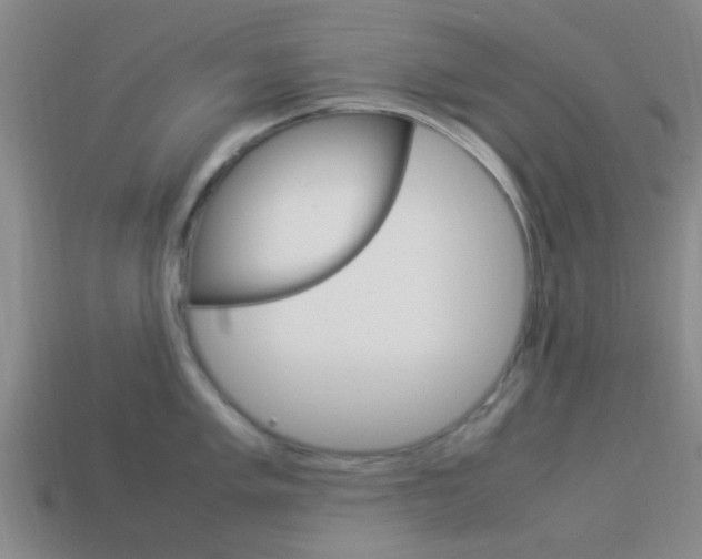 X0000114091005200910051206