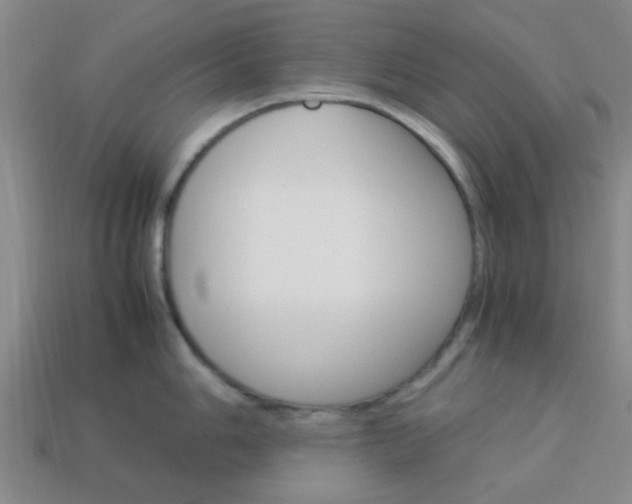 X0000114091006200910051206