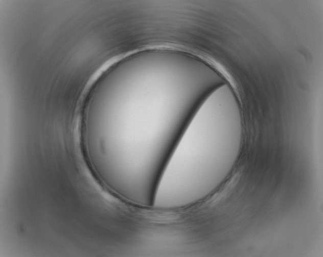 X0000114091007200910051206