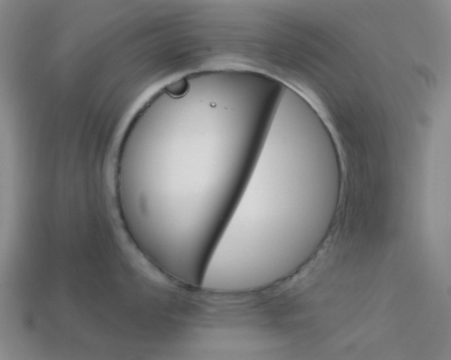 X0000114091008200910051206