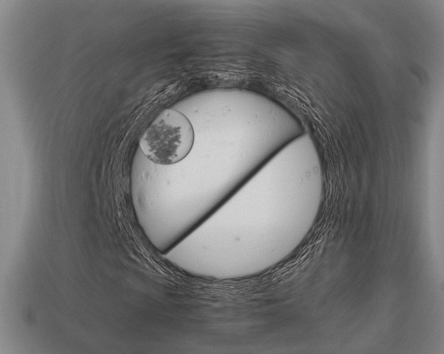 X0000114091009200910051205