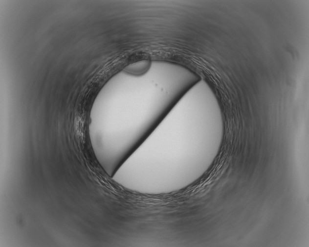 X0000114091010200910051205