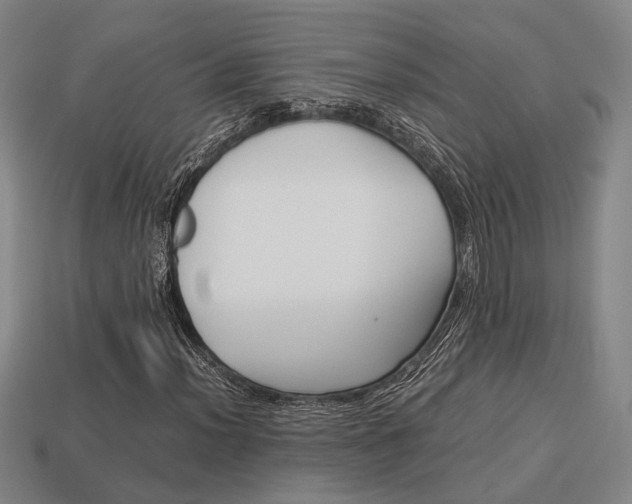 X0000114091012200910051205